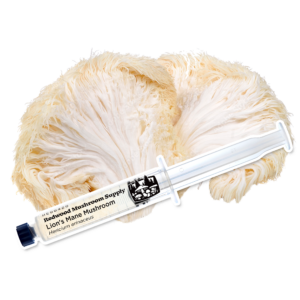 Redwood Mushroom Supply Liquid Culture- Lions Mane
