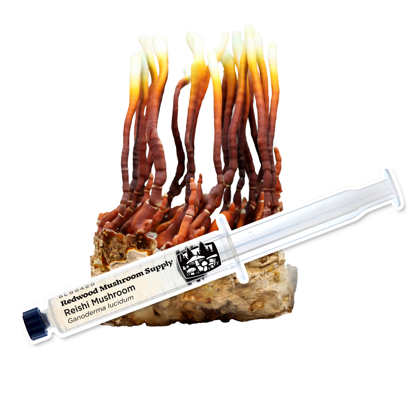 Redwood Mushroom Supply Liquid Culture- Reishi