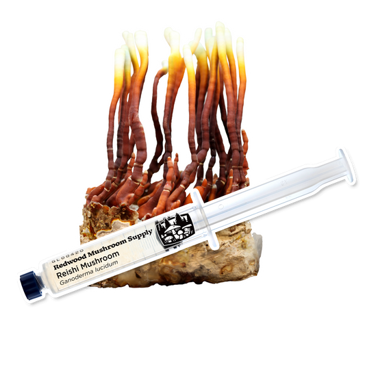 Redwood Mushroom Supply Liquid Culture- Reishi