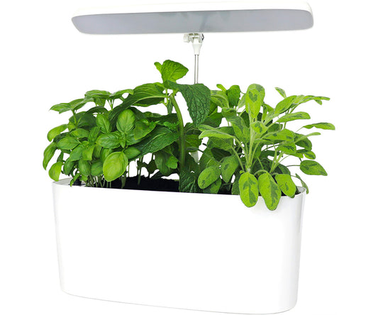 SunBlaster Nano Growlight Garden, W/ LED Grow Light