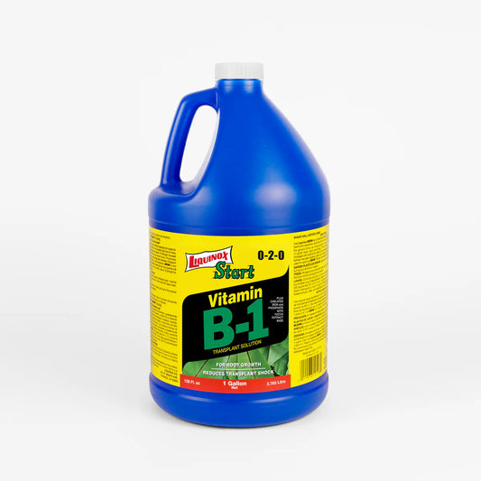Liquinox Start Vitamin B-1 (Gal)