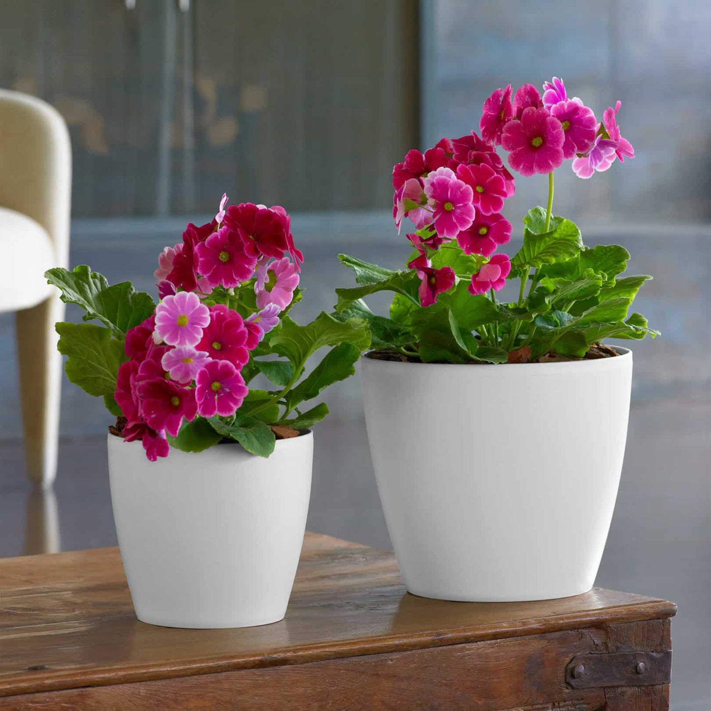 Eva Modern Houseplant Pot (No Drain Holes) Pack of 2: White / 11" W