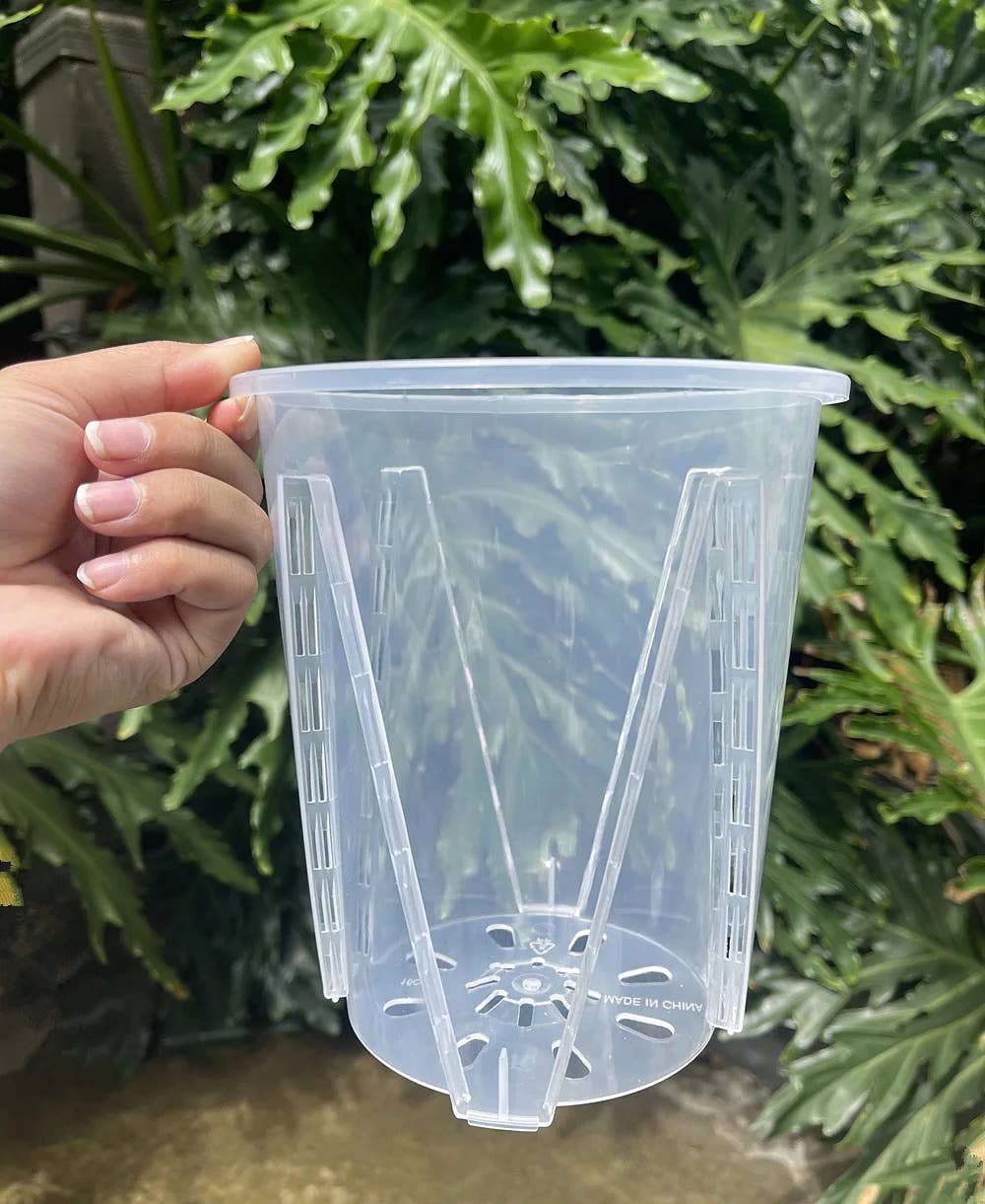 Clear Durable Pots with Many Drainage Holes: 5.5"