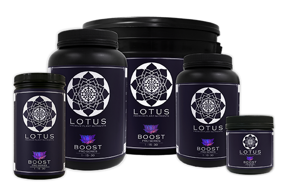 Lotus Nutrients Boost (72oz)