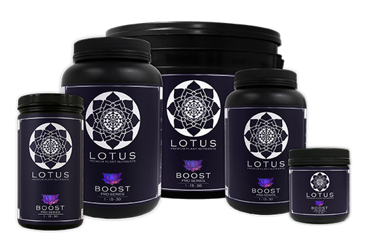 Lotus Nutrients Boost (36oz)