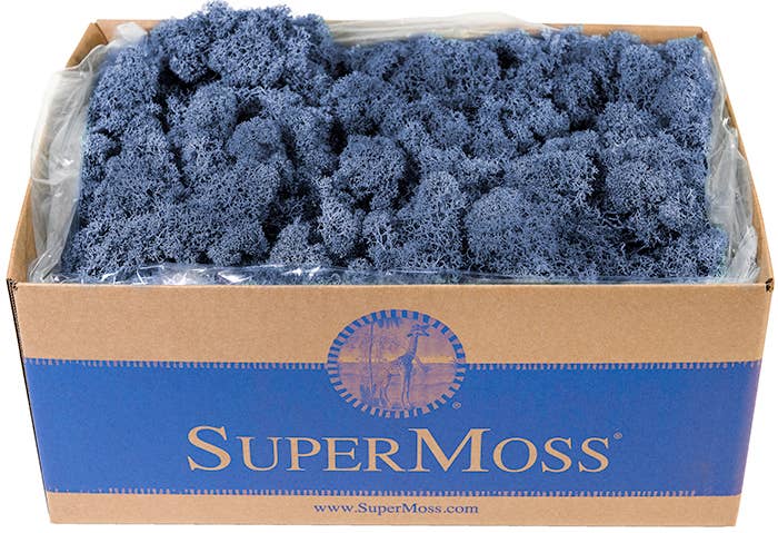 Reindeer Moss Preserved 3lb Bulk Box: Apple