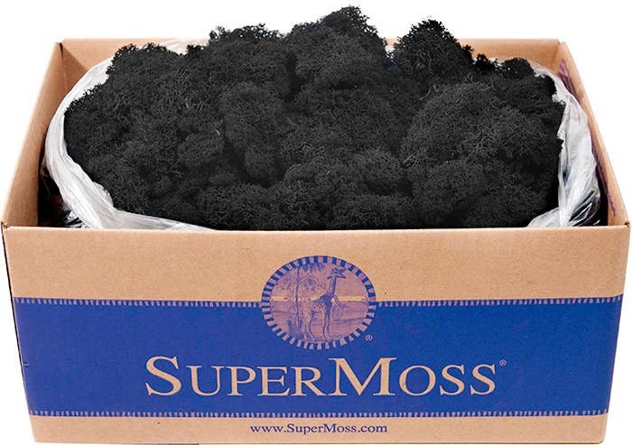 Reindeer Moss Preserved 3lb Bulk Box: Apple