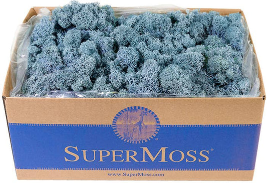 Reindeer Moss Preserved 3lb Bulk Box: Apple