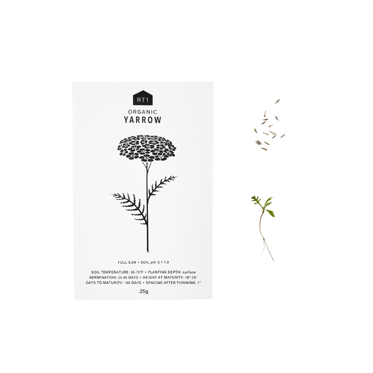 MEDICINAL HERB SET - PACK OF 5