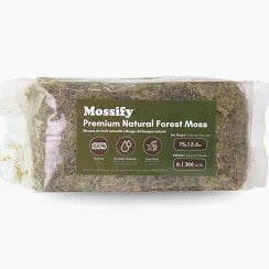 Mossify Premium Natural Forest Moss (150g)