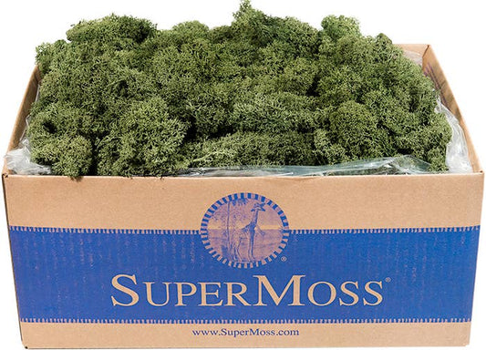 Reindeer Moss Preserved 3lb Bulk Box: Apple