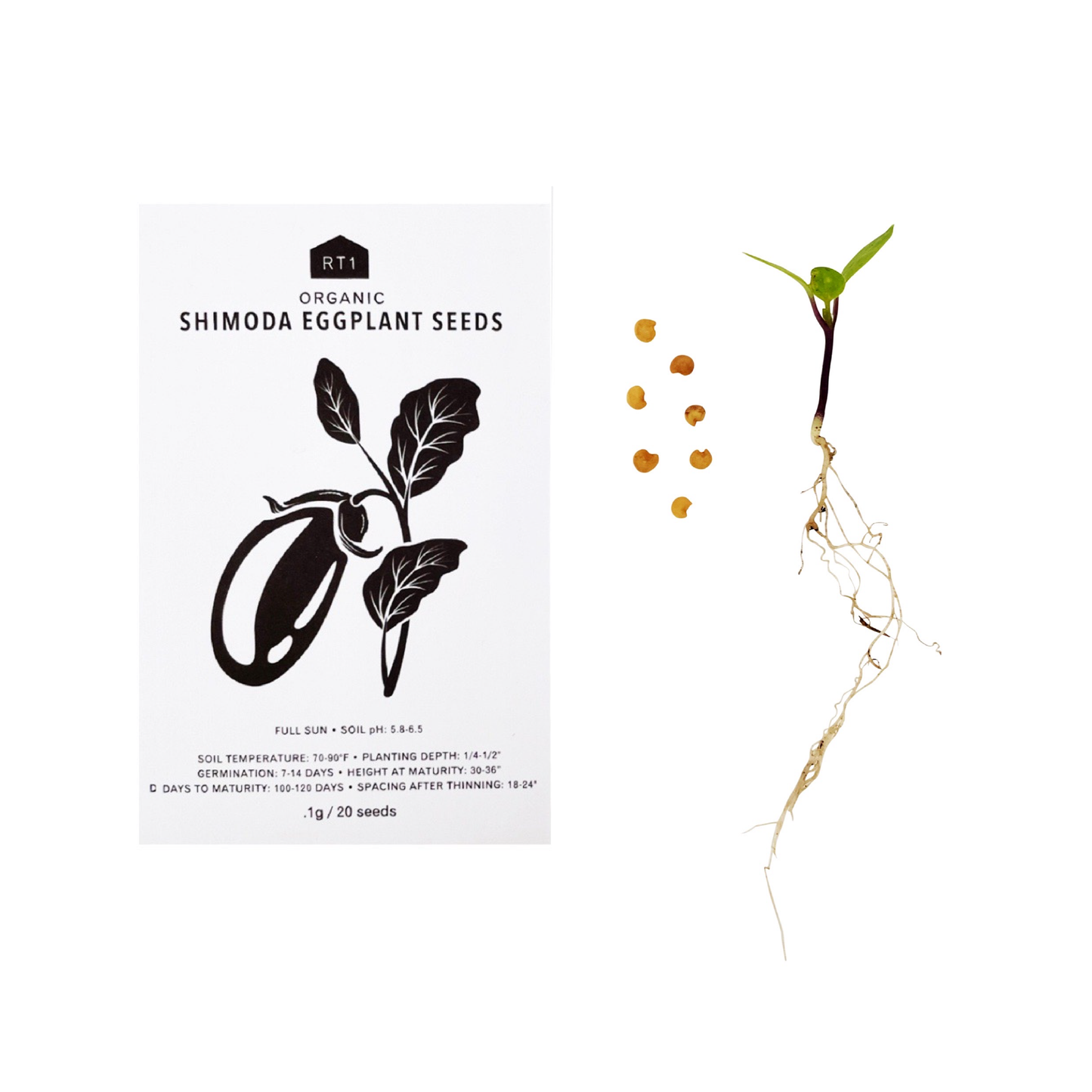 JAPANESE SPRING VEG SET - PACK OF 5