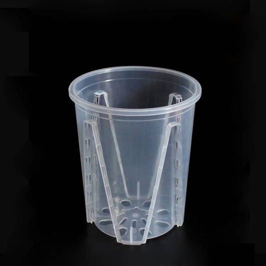 Clear Durable Pots with Many Drainage Holes: 5.5"