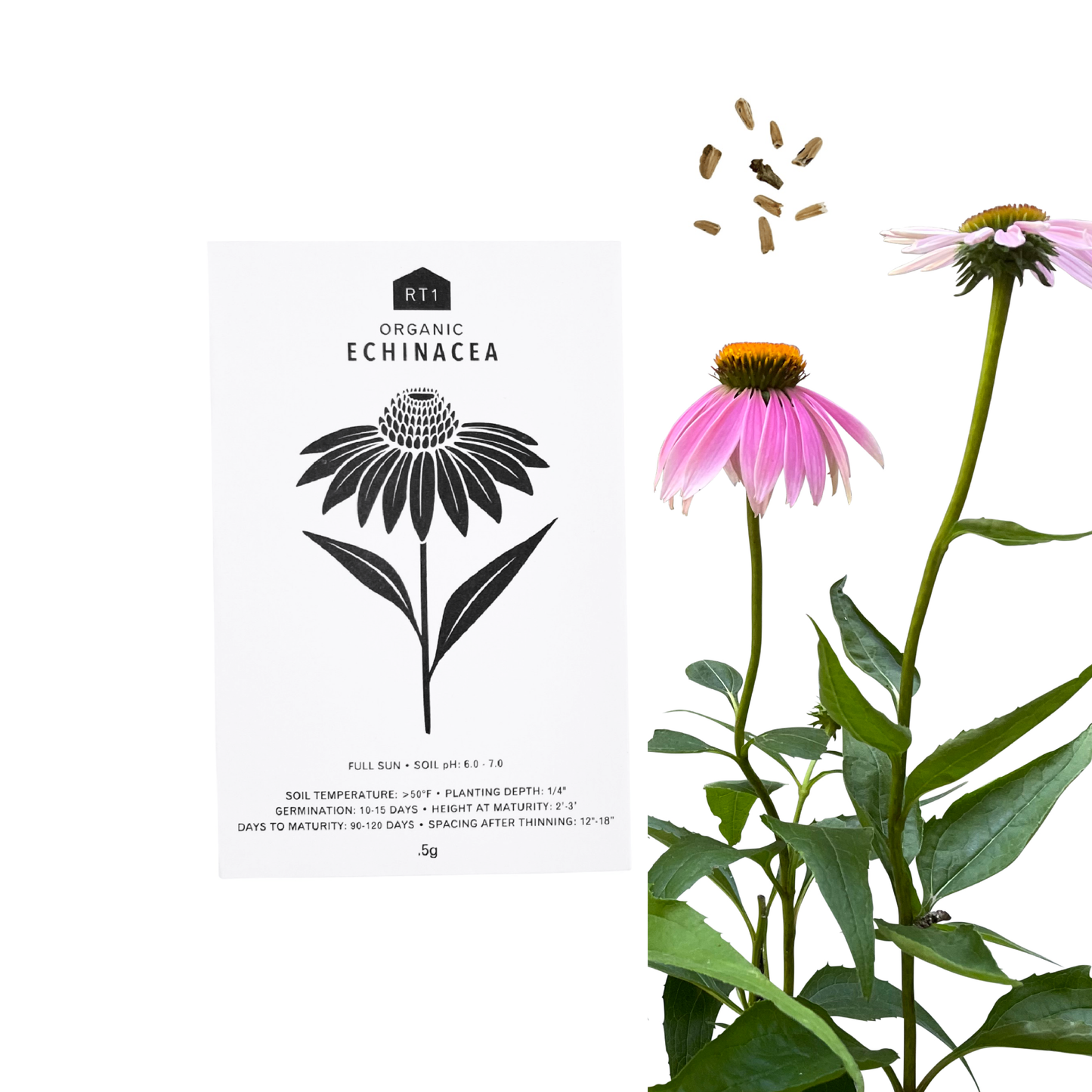 MEDICINAL HERB SET - PACK OF 5