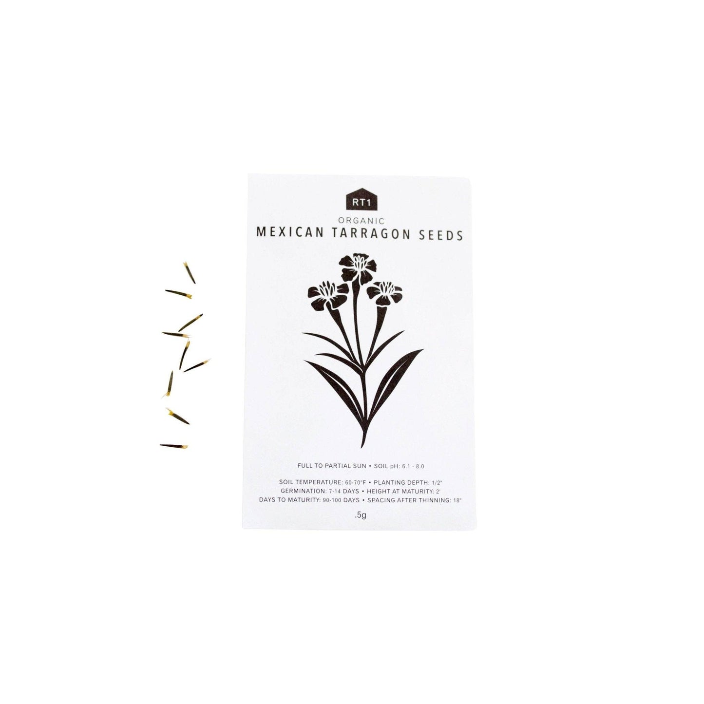 CULINARY HERB II SET - PACK OF 5