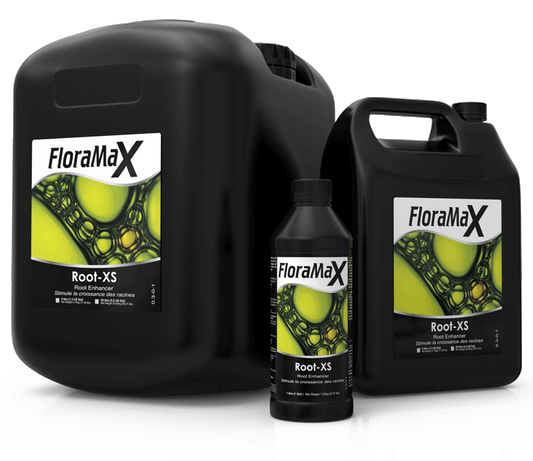 FloraMax Root-XS (5L)