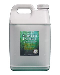 Grow More Seaweed Extract (2.5 Gal)