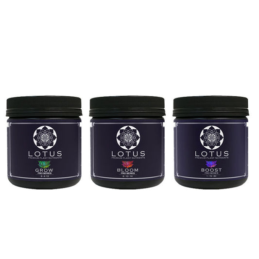 Lotus Starter Kit