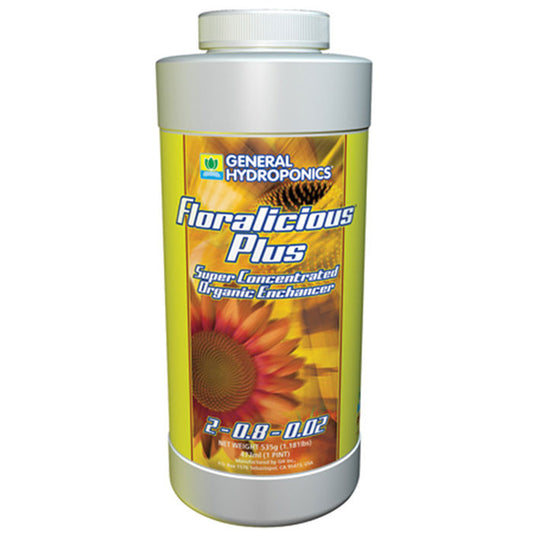 GH Floralicious Plus (Pt)