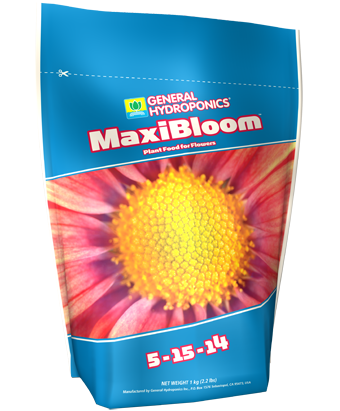 GH Maxibloom (2.2LB)