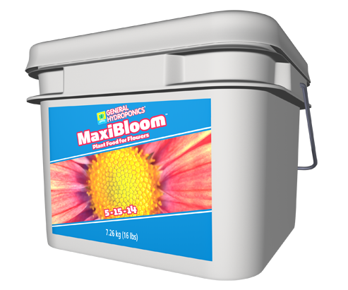 GH Maxibloom (16LB)